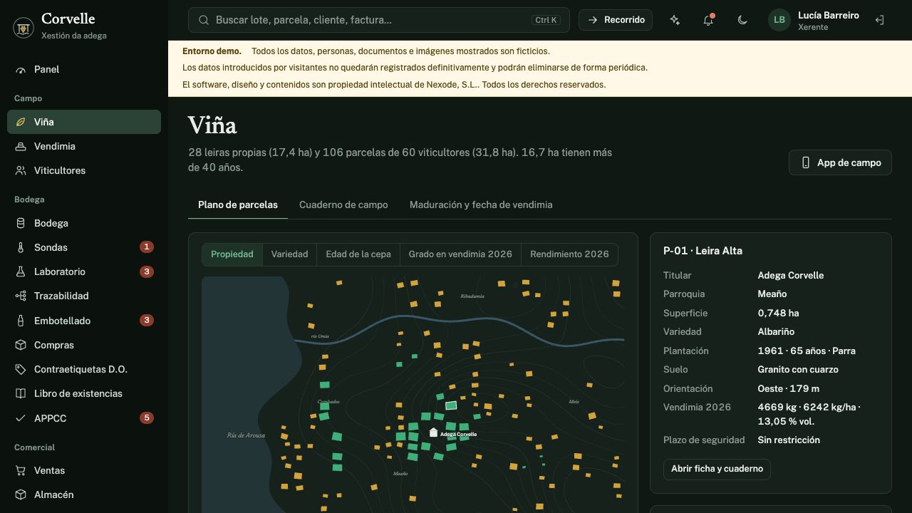 Gestión de viñedo en Bodega